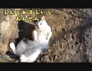 【ロードバイク】えんどれすえいと！【温泉紹介】