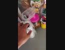 Llega gente bien rara a mi tiendita