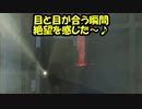 (キラ)【DBD】ライトに翻弄されるババちゃんの図＃42
