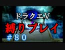 【ドラクエ5 縛りプレイ】サクッとマント取って、魔界にでも行きましょう！Part80【アルカリ性】