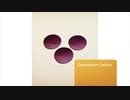 Wint Corporation - Silicon Lenses in San Jose, CA