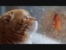 風に聞け　２１０３０１　Something is Going On - Godmode