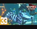 【ゼルダ無双 厄災の黙示録】BotWの100年前の戦いへ！*実況＃33