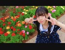 【みやこ】どぅーまいべすと！踊ってみた【誕生日】