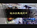 【三国志大戦】暴勇王異を使いたい40 vs巨虎4枚【十三陣】
