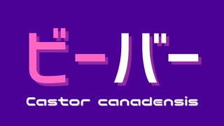 【オリジナルMV】ビーバー - covered by Goodbear【ガナってみた】