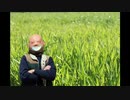 Greeeen 刹那 歌ってみた