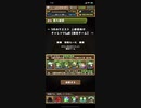【パズドラ】3月クエスト チャレンジダンジョンLv8【固定チーム】