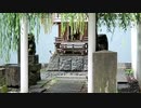 にゃんこx3