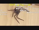 【むらまこ】きも。3月2日