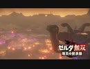 [初見] ゼルダ無双厄災の黙示録 一応実況プレイかも！ 第33回 -1/3