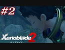 世の男たちを惑わしたヒロインたちがいるって聞きました！#2【ゼノブレイド2】