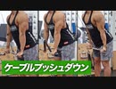 【初心者】ケーブル・プッシュダウンの効果的なやり方 | バリエーション別の解説【ビーレジェンド プロテイン】