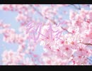 散桜／VY1 Lite
