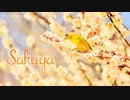 【1時間】Sakuya【優雅で穏やかな和風BGM】