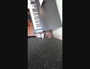 【練習25日目】Just Be Friends-piano.Ver-Dixie