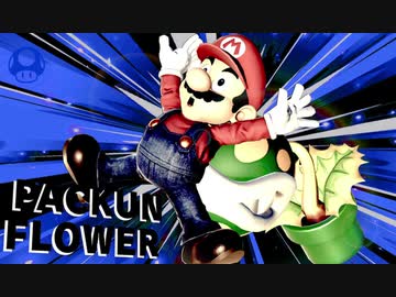 サン サ ベリア１２