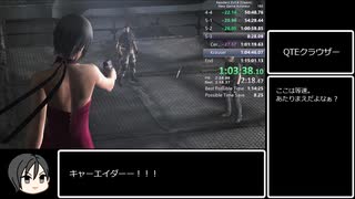 【WR】バイオハザード4 NG Amateur 1:14:36【LRT】解説動画part6