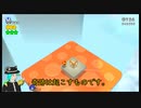 スーパーマリオ3Dワールド+フューリーワールドをプレイしてみた_08