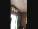 元NHK集金人斎藤忠行氏北海道2区から出馬
