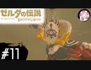 【BotW＃11】凡人が行くシナリオ中心の息吹旅