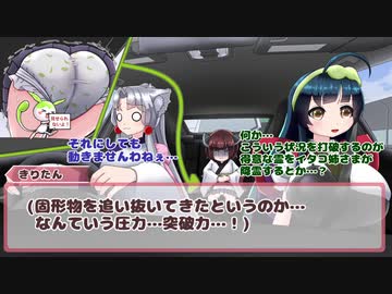 腹痛で人生が終わらないようにきりたんの失敗を反面教師にして学術的に啓発をする動画