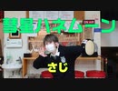 彗星ハネムーン 踊ってみた!!【さじ】