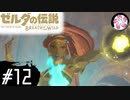 【BotW＃12】凡人が行くシナリオ中心の息吹旅