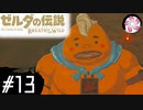 【BotW＃13】凡人が行くシナリオ中心の息吹旅