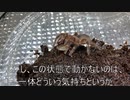 [奥田民生は]タランチュラ飼育日記その１１１[ベースもうまい]