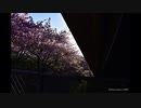 FIX YOU 歌ってみた【Maru】