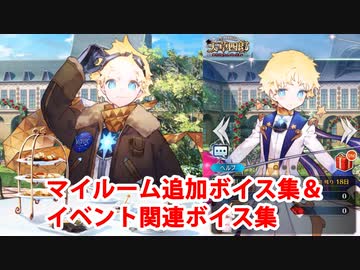 Fate/Grand Order ボイジャー 追加マイルームボイス集＆イベント関連ボイス集（3/3追加分）
