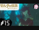 【BotW＃15】凡人が行くシナリオ中心の息吹旅