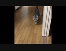 まーるーたー！