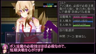 サキュバステイマーRTA[29:10]