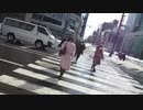 2021/3/4(木) 反日カルト、集団ストーカー組織共謀犯罪周知 札幌ゲリラ街宣ー①