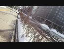 2021/3/4(木) 反日カルト、集団ストーカー組織共謀犯罪周知 札幌ゲリラ街宣ー②