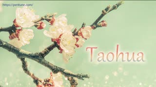 【無料フリーBGM】中華風の穏やかなBGM「Taohua」