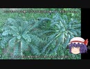 ゆっくり農民154桜島大根を育ててみませんか？#3