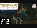 【BotW＃18】凡人が行くシナリオ中心の息吹旅