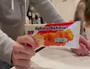 【20代無職妻入院中】駄菓子飯で貧乏に生き延びることになりました【ビッグカツ丼節約ご飯】