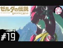 【BotW＃19】凡人が行くシナリオ中心の息吹旅
