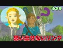 【ゼルダの伝説ブレスオブザワイルド】思い出せなかったリンク【小ネタ/BotW】