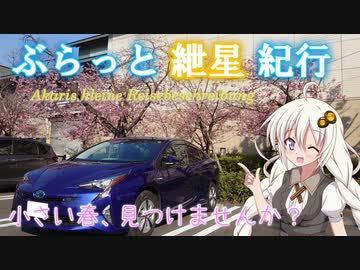 ぶらっと紲星紀行～小さい春、見つけませんか？～