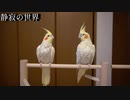 【静寂の世界】＃12 麒麟とピヨピヨのコラボ！どっちがどっちか分かりますか？