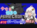 今さら始まる？マインクラフト！#16