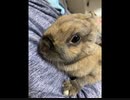 無条件の波動350　愛の波動を感じて