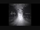"AlternA" 5th - Death Gaze / Eyez