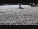 【かま】ツノルキモチ -M.edit- 踊ってみた【オリジナル振付】