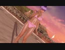 【DoaX3F】フォトパラダイス レイファン  03070011g